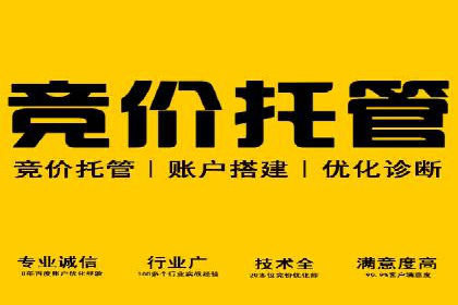 百度竞价推广公司成功案例：如何快速提升品牌曝光度